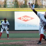 Great Lakes Loons